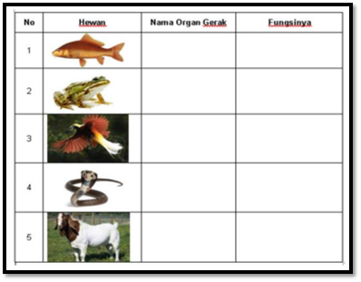 Detail Gambar Organ Gerak Hewan Dan Manusia Nomer 37