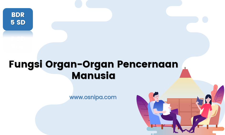 Detail Gambar Organ Organ Pencernaan Manusia Nomer 38