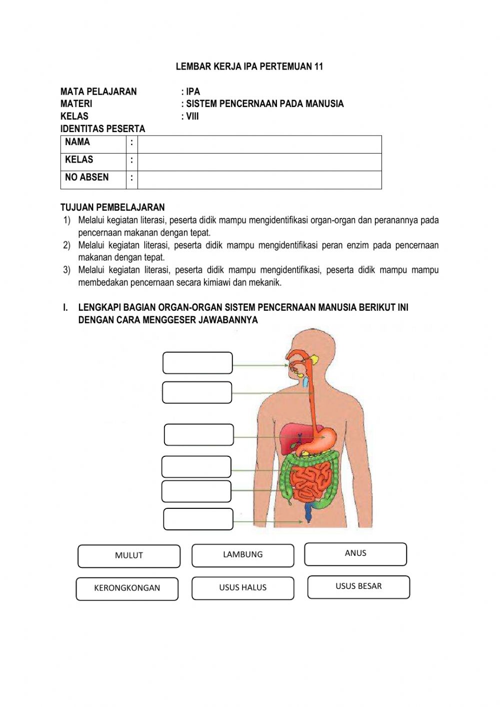 Detail Gambar Organ Pencernaan Manusia Nomer 6