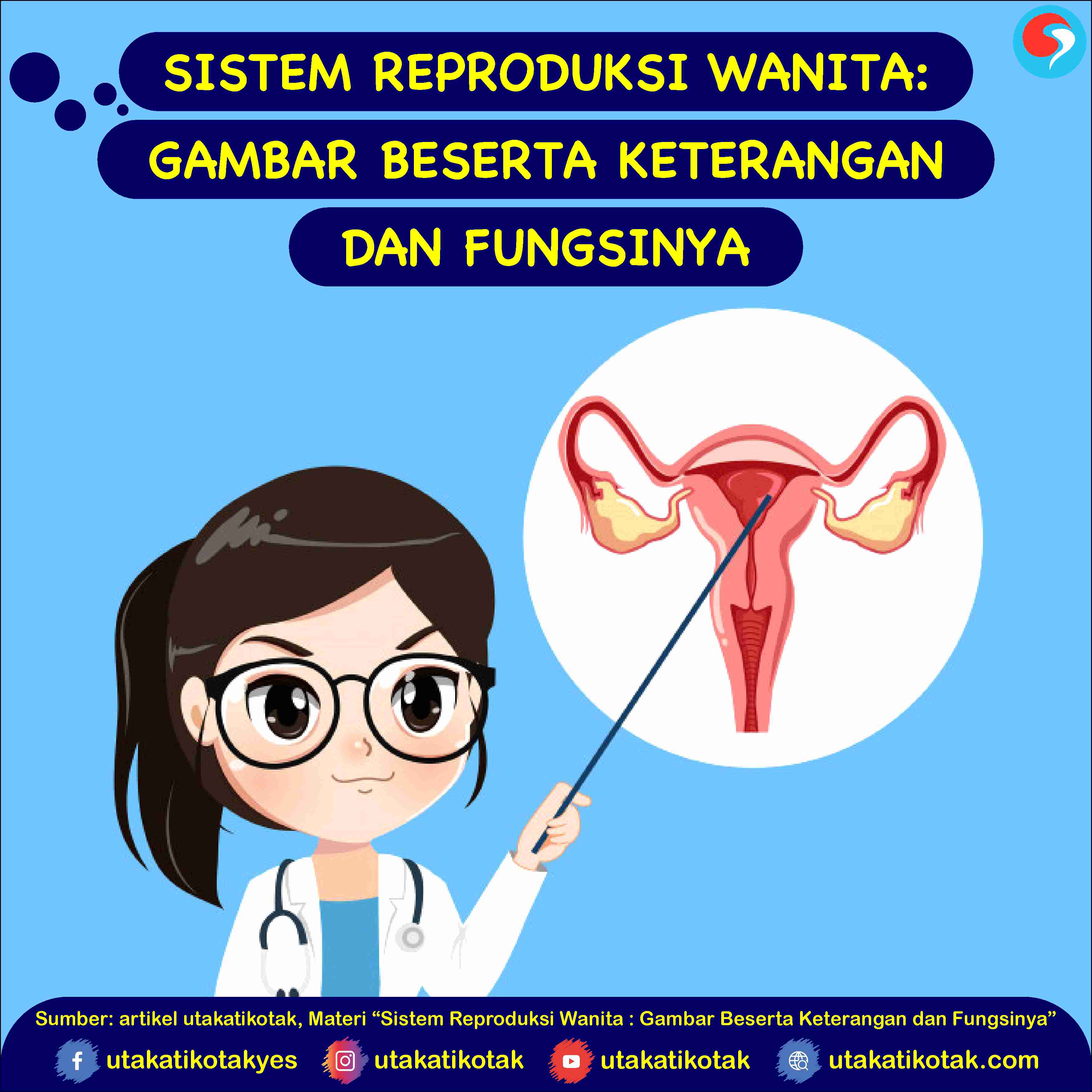 Detail Gambar Organ Reproduksi Wanita Beserta Fungsinya Nomer 42