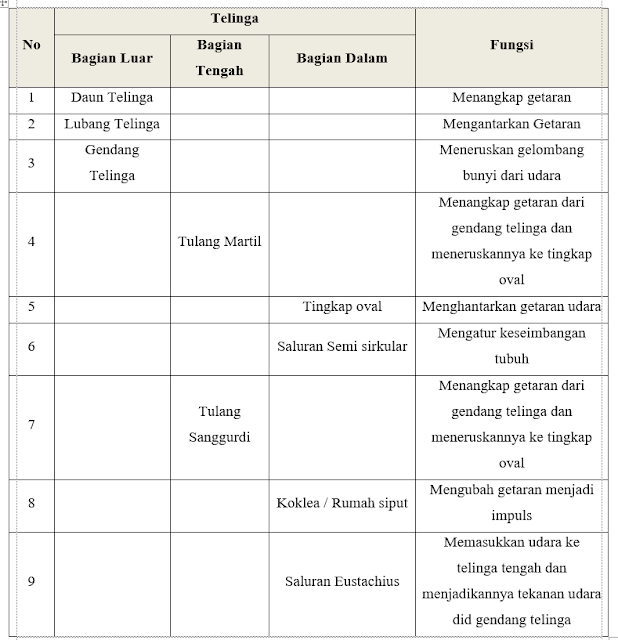 Detail Gambar Organ Telinga Dan Fungsinya Nomer 45