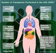 Detail Gambar Organ Tubuh Manusia Nomer 19