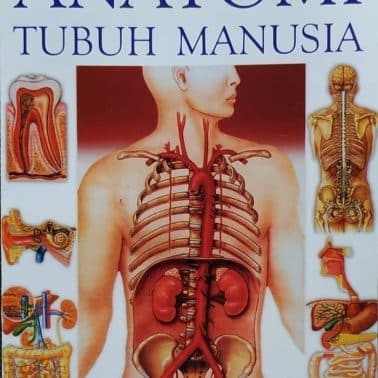 Detail Gambar Organ Tubuh Manusia Nomer 47