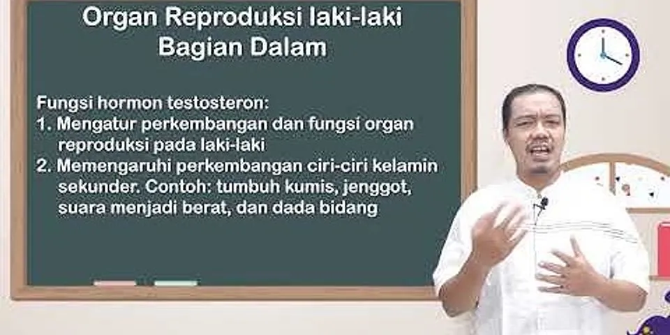 Detail Gambar Organ Tubuh Pada Manusia Dan Organ Penyusunnya Word Nomer 37