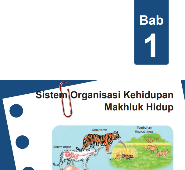 Detail Gambar Organisasi Kehidupan Nomer 26