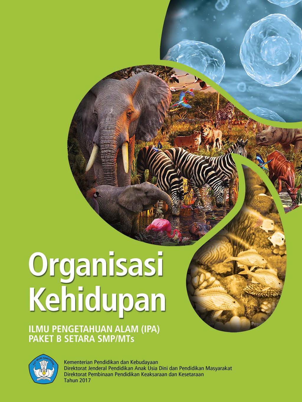 Detail Gambar Organisasi Kehidupan Nomer 44