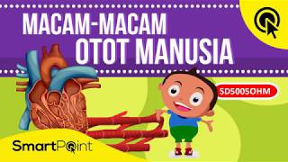 Detail Gambar Otot Manusia Kartun Nomer 28