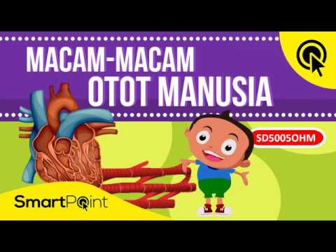 Detail Gambar Otot Manusia Kartun Nomer 6