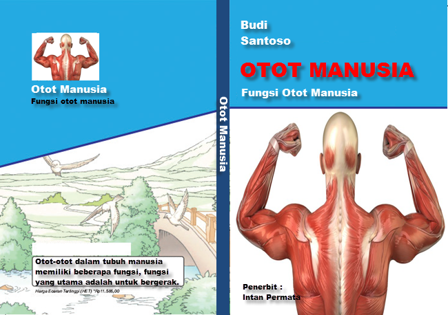 Detail Gambar Otot Otot Manusia Nomer 47