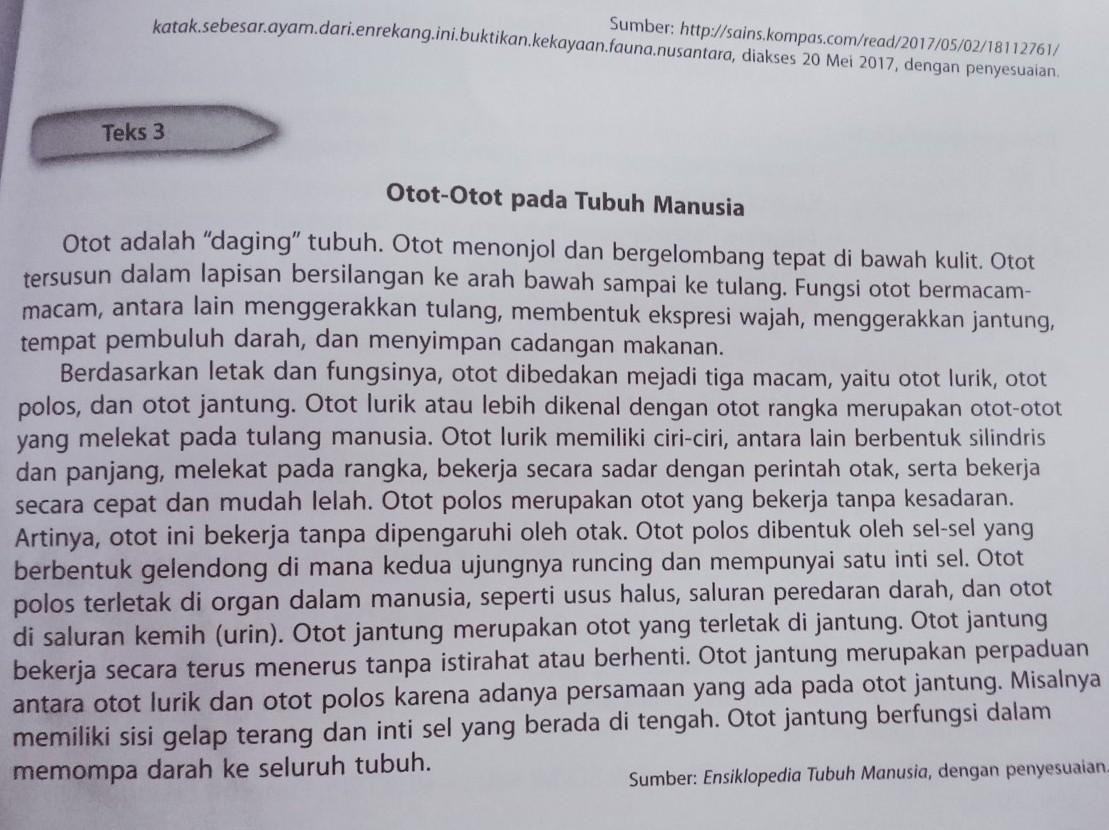 Detail Gambar Otot Tubuh Manusia Nomer 31