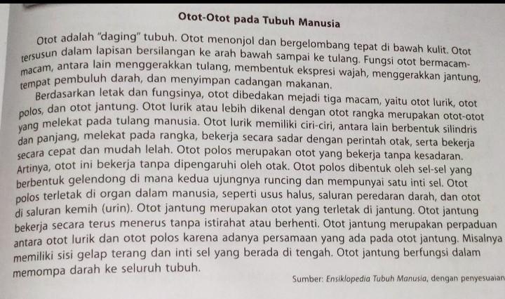 Detail Gambar Otot Tubuh Manusia Nomer 51