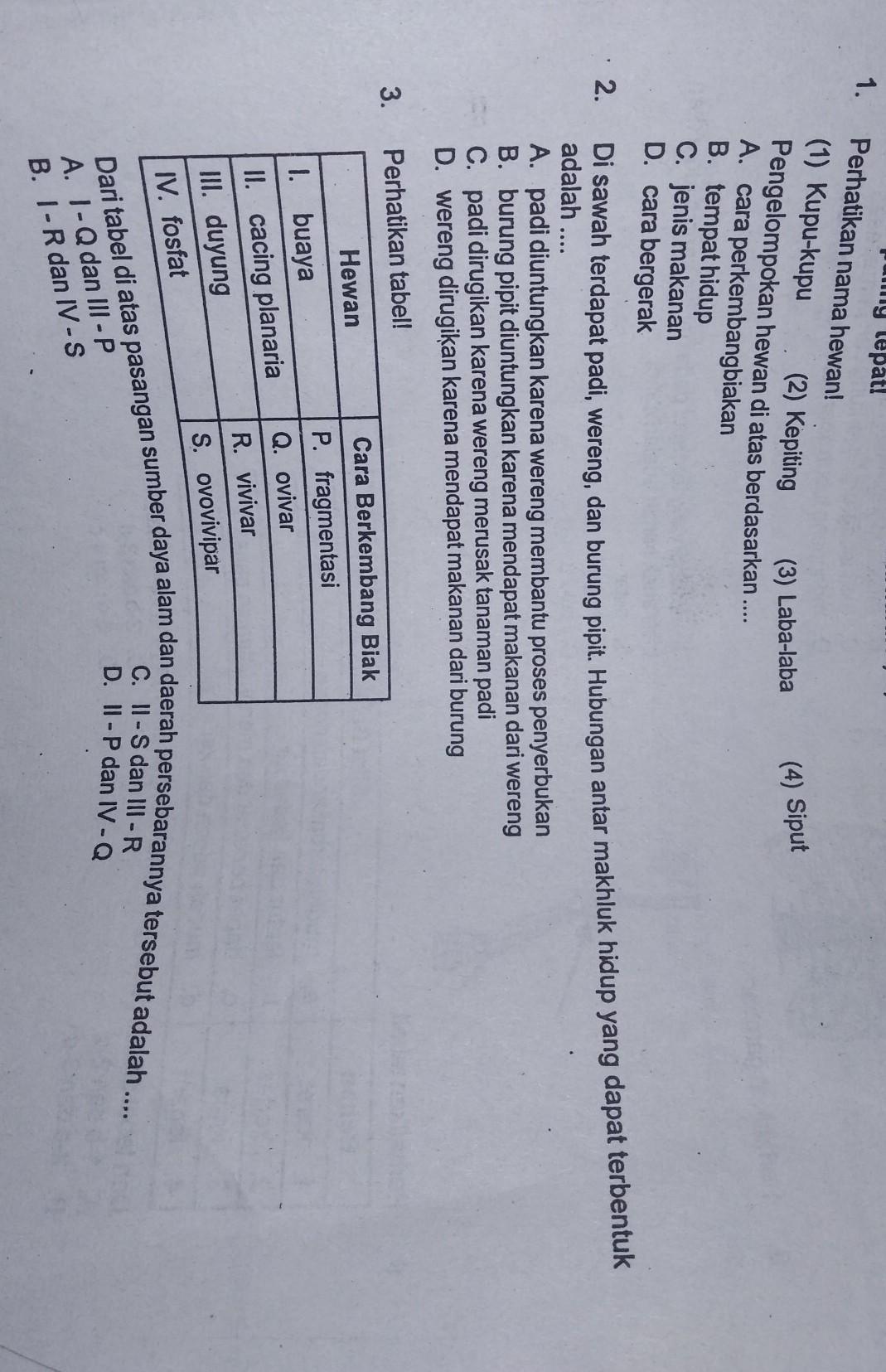 Detail Gambar Padi Dan Persebarannya Nomer 42