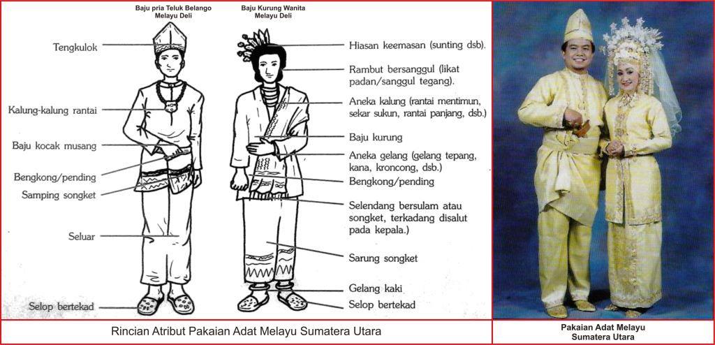 Detail Gambar Pakaian Adat Indonesia Dan Penjelasannya Nomer 3