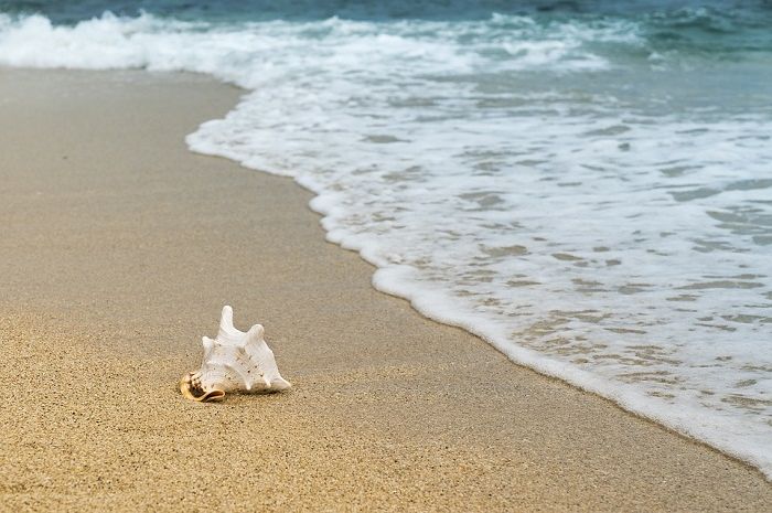 Detail Gambar Pantai Gambar Pantai Yang Tidak Ada Warna Nomer 33