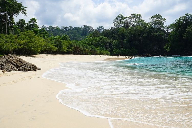 Detail Gambar Pantai Gambar Pantai Yang Tidak Ada Warna Nomer 39