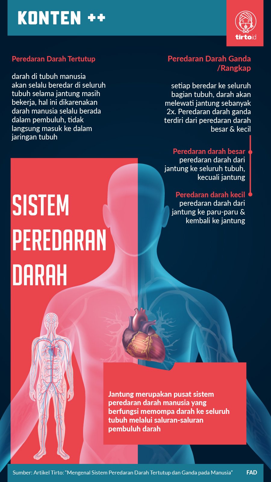 Detail Gambar Partikel Pembuluh Darah Nomer 18