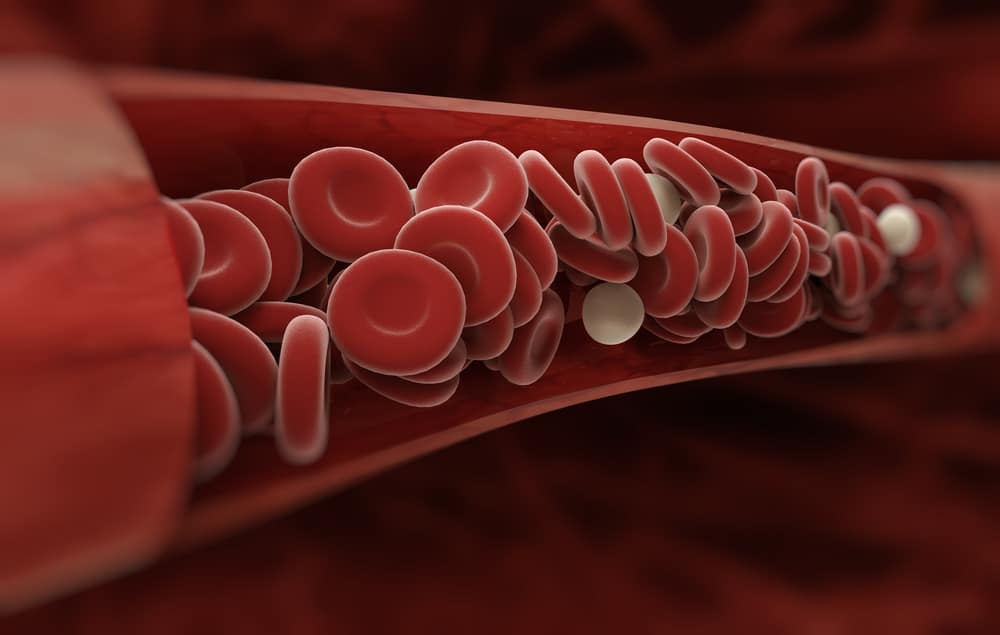 Detail Gambar Partikel Plasma Darah Nomer 11