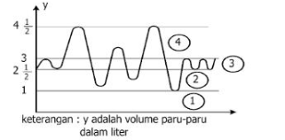 Detail Gambar Paru Paru Beserta Keterangannya Nomer 40