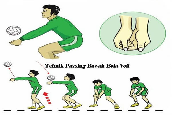 Detail Gambar Passing Bola Voli Nomer 20