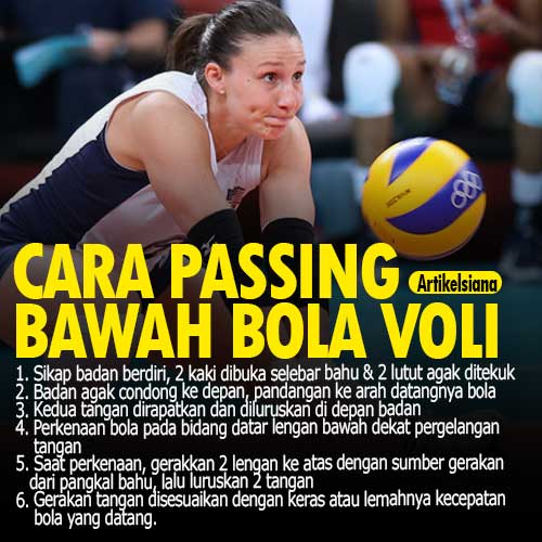 Detail Gambar Passing Bola Voli Nomer 36