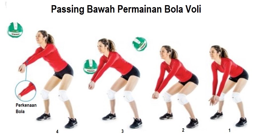 Detail Gambar Passing Bola Voli Nomer 7