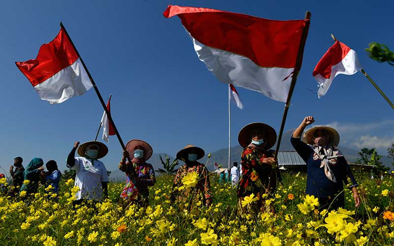 Detail Gambar Pasukan Di Atas Gunung Memegang Bendera Nomer 33