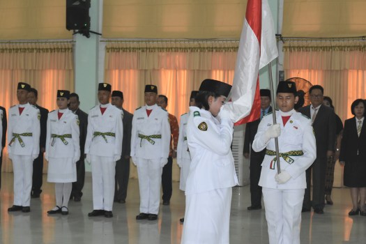 Detail Gambar Pasukan Di Atas Gunung Memegang Bendera Nomer 47