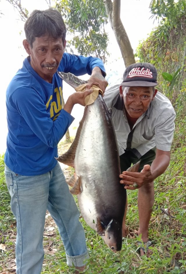 Detail Gambar Pemancing Dapat Ikan Besar Nomer 24