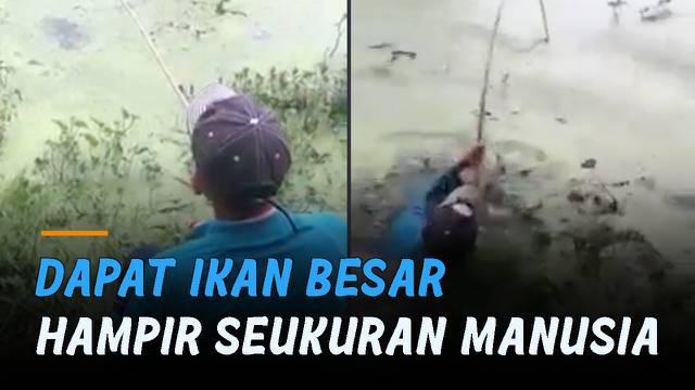 Detail Gambar Pemancing Dapat Ikan Besar Nomer 28