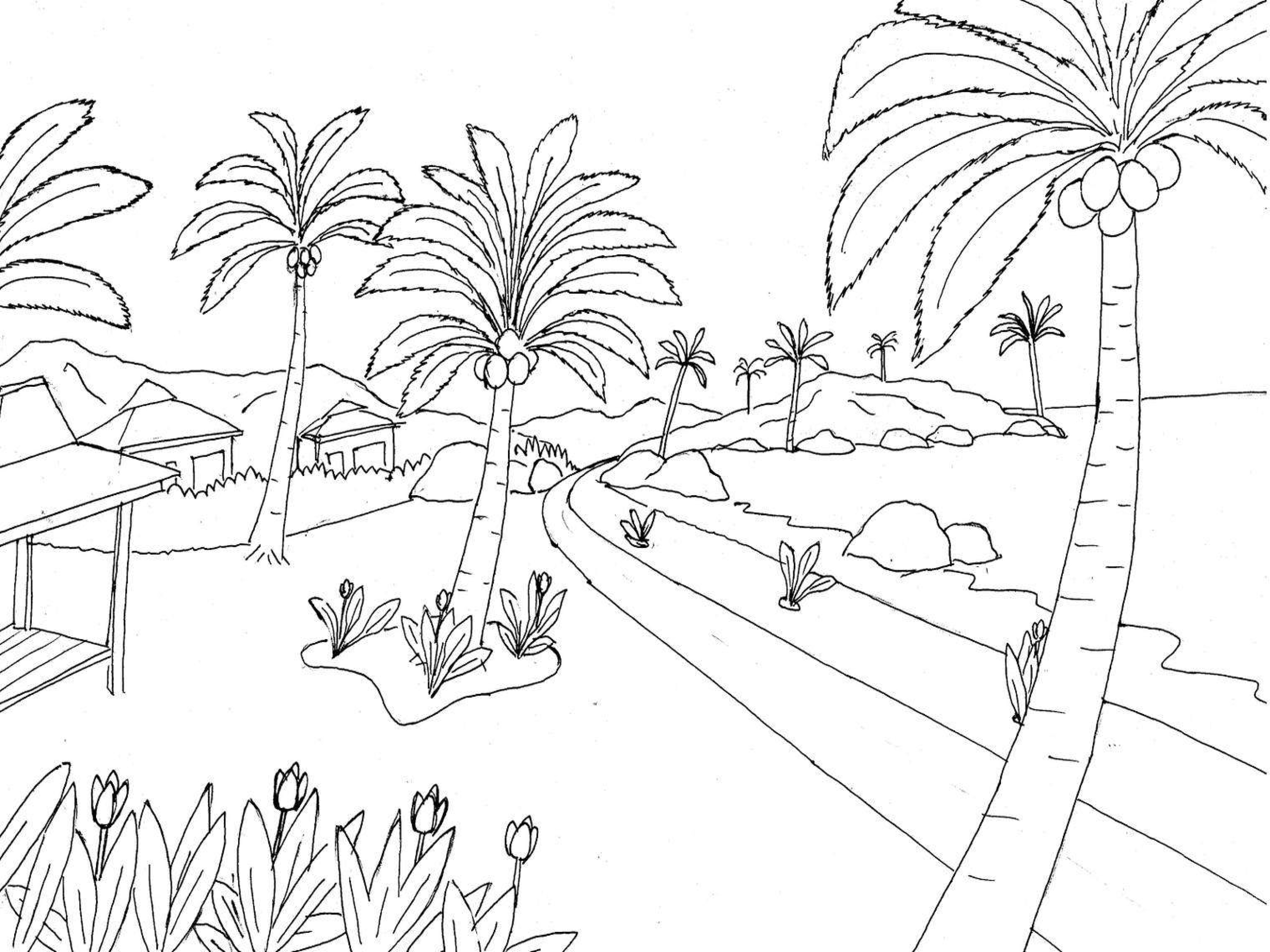 Detail Gambar Pemandangan Pantai Hitam Putih Untuk Diwarnai Nomer 8