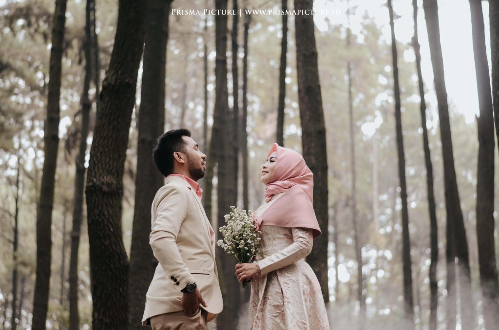 Detail Gambar Pemandangan Untuk Foto Prewedding Nomer 32