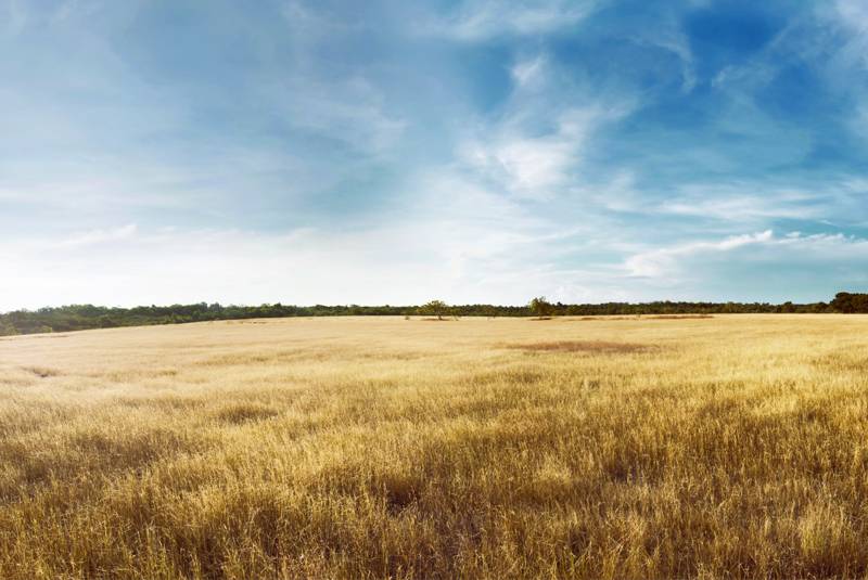 Detail Gambar Pemandangan Untuk Foto Prewedding Nomer 46