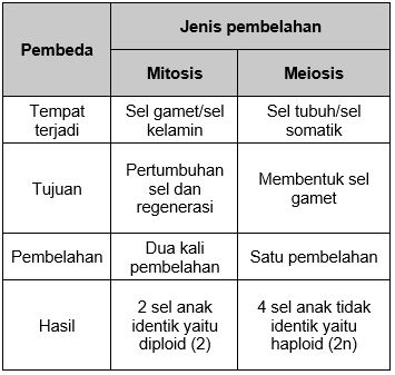 Detail Gambar Pembelahan Sel Secara Mitosis Dan Meiosis Nomer 52