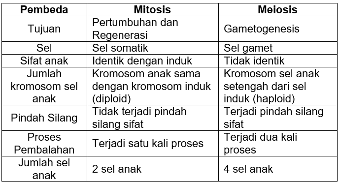 Detail Gambar Pembelahan Sel Secara Mitosis Dan Meiosis Nomer 55