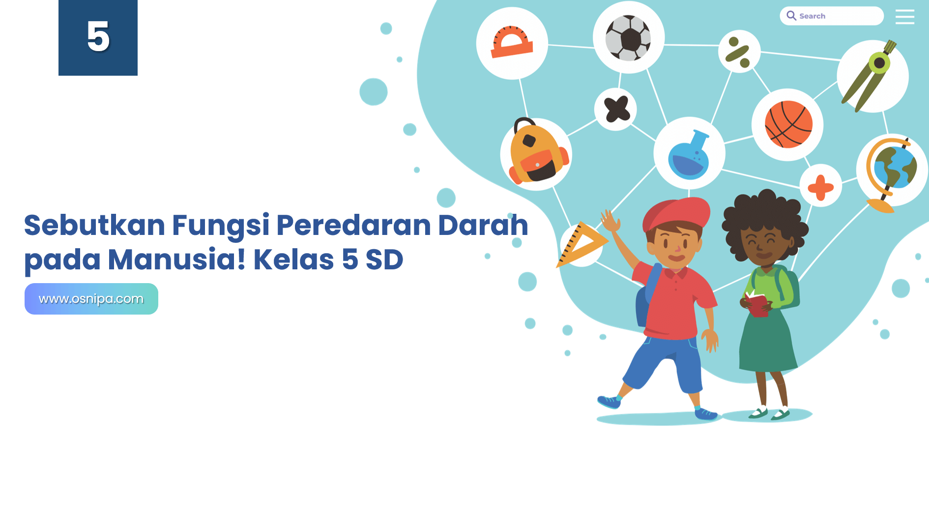 Detail Gambar Pembuluh Darah Dan Fungsinya Nomer 36