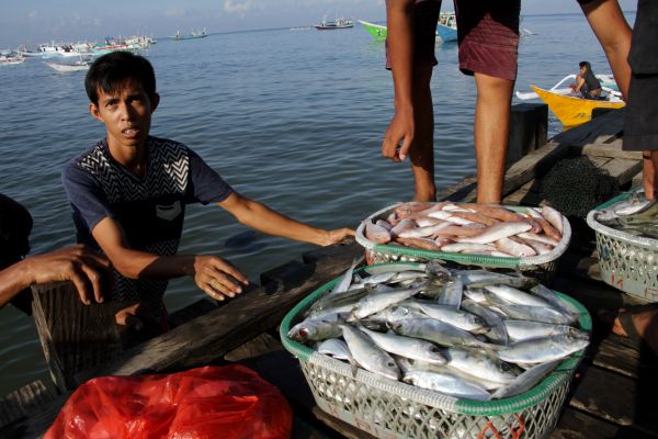 Detail Gambar Penangkapan Ikan Di Laut Sulawesi Nomer 17