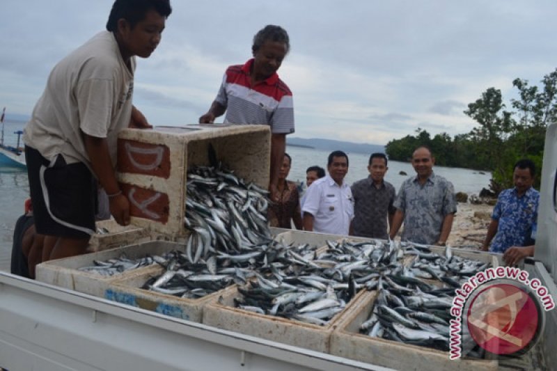 Detail Gambar Penangkapan Ikan Di Laut Sulawesi Nomer 3