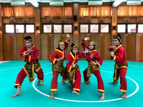 Detail Gambar Pencak Silat Tapak Suci Nomer 44