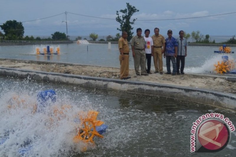 Detail Gambar Pencari Kerja Tambak Nomer 18