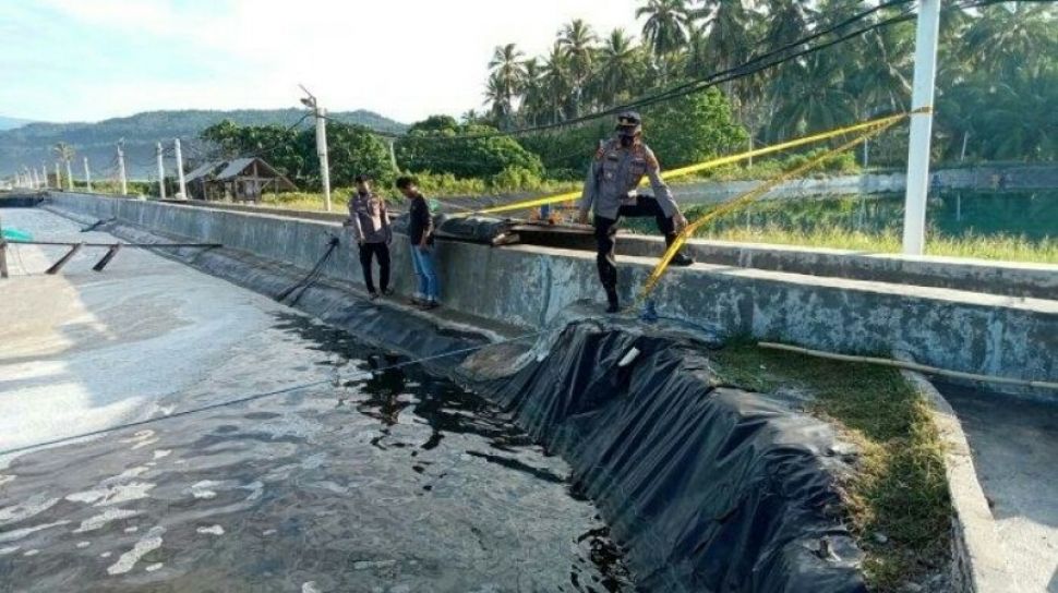 Detail Gambar Pencari Kerja Tambak Nomer 46