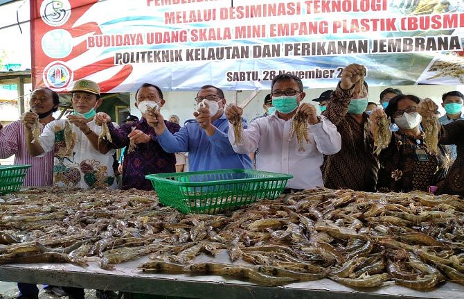 Detail Gambar Pencari Kerja Tambak Udang Nomer 23