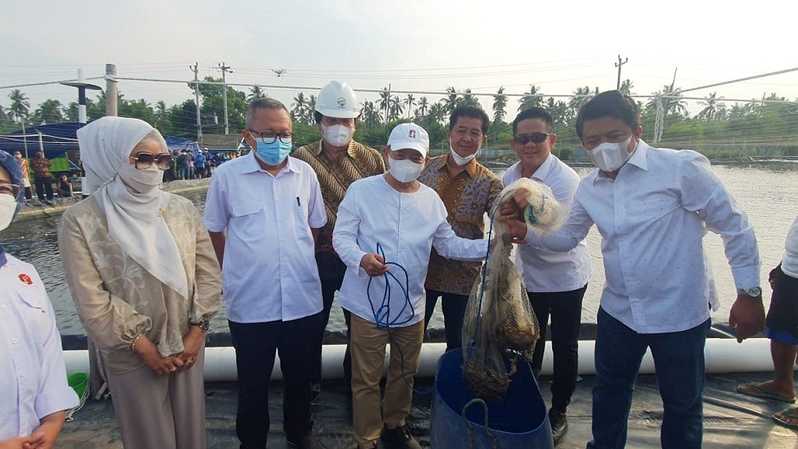 Detail Gambar Pencari Kerja Tambak Udang Nomer 40