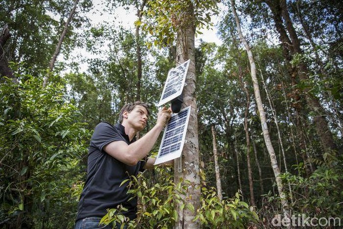 Detail Gambar Penebangan Hutan Secara Liar Nomer 35