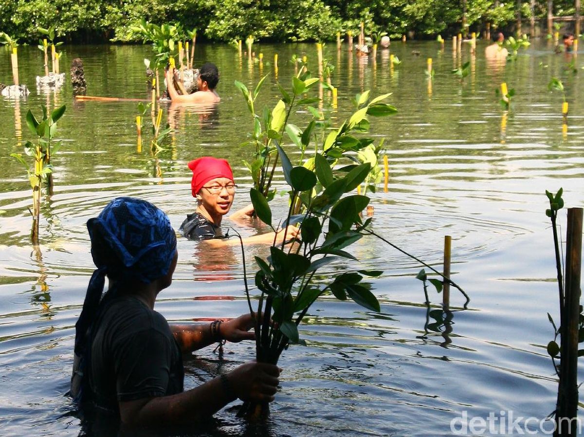 Detail Gambar Penerapan Sila Ke 2 Nomer 39