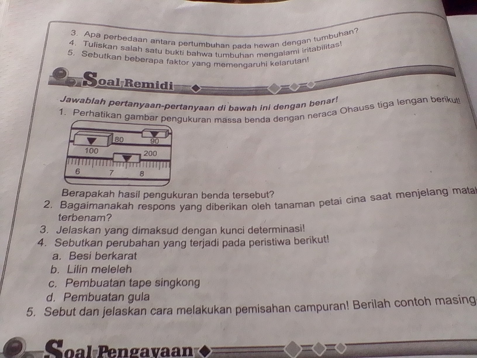 Detail Gambar Pengayaan Singkong Nomer 37