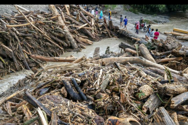 Detail Gambar Penghijauan Untuk Mencegah Banjir Nomer 13