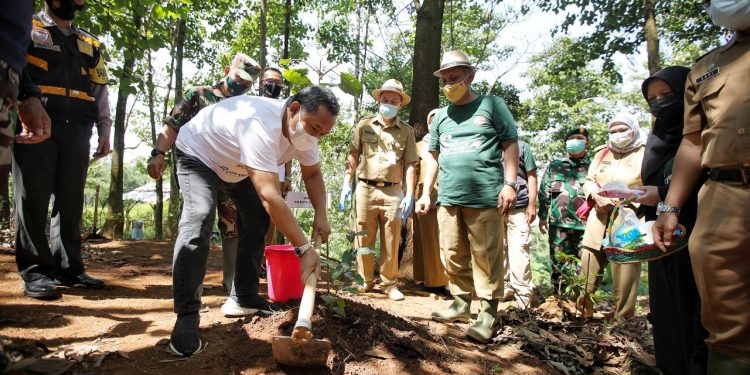 Detail Gambar Penghijauan Untuk Mencegah Banjir Nomer 14