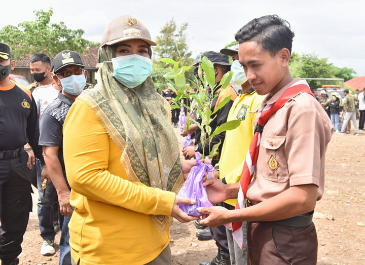 Detail Gambar Penghijauan Untuk Mencegah Banjir Nomer 23