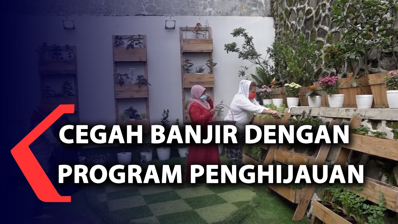 Detail Gambar Penghijauan Untuk Mencegah Banjir Nomer 32