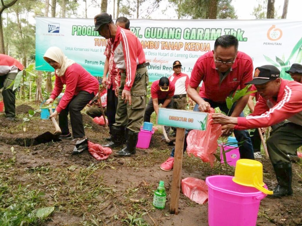 Detail Gambar Penghijauan Untuk Mencegah Banjir Nomer 40